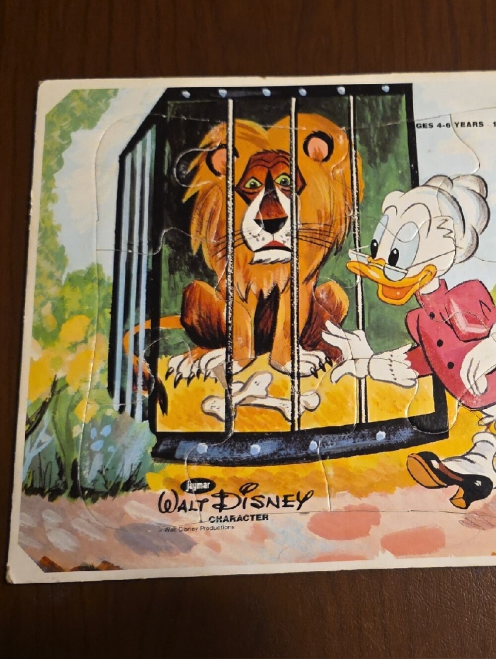 Disney Puzzle Panel with Yellow Lion and Pink Donald Duck Jacket